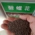 醉蝶花种子净种子花海造型必备发芽率95%