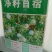紫花苜蓿种子四季播种喂猪牛羊鸡鹅鸭兔鱼草