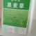 进口耐寒牧草种子多年生黑麦草种子四季常青鸡鸭鹅猪牛羊鱼草