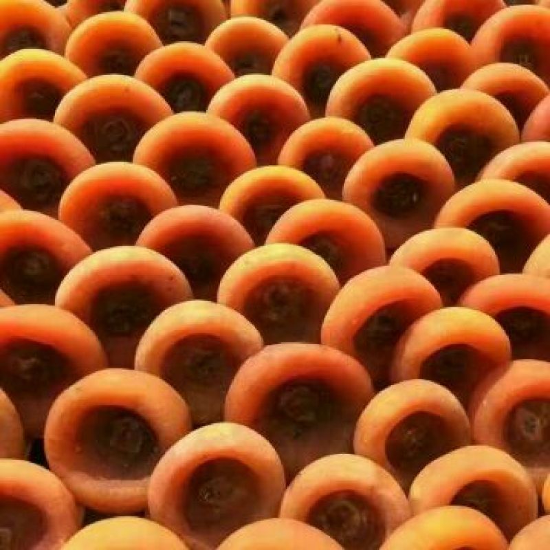 柿饼1~2两