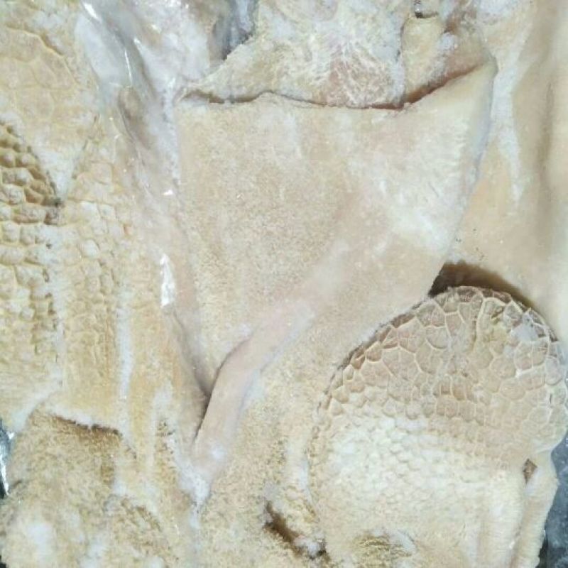 源头厂家牛肚半成品无油纯干牛肚