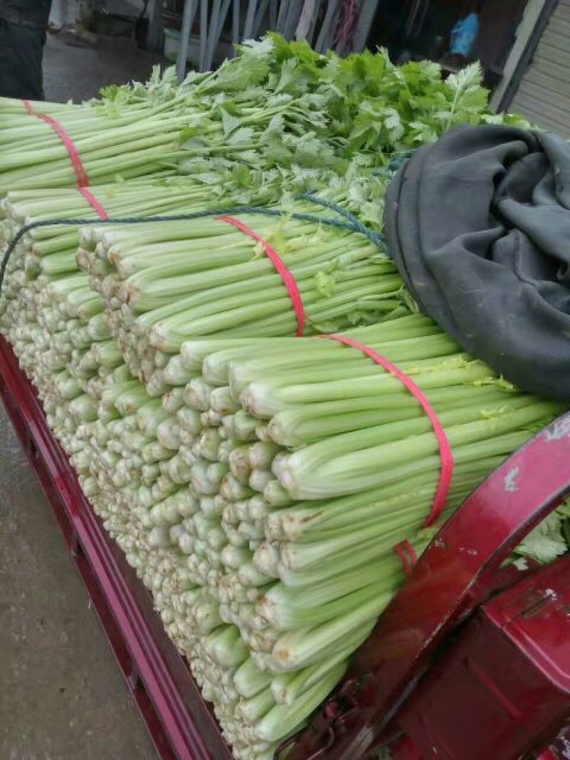 芹菜，万亩西芹拼多多，上产地对接电商，商超，全国各大市