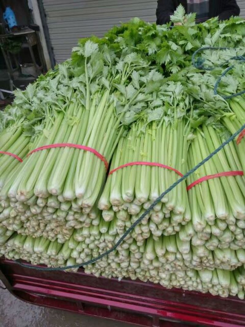 芹菜，万亩西芹拼多多，上产地对接电商，商超，全国各大市