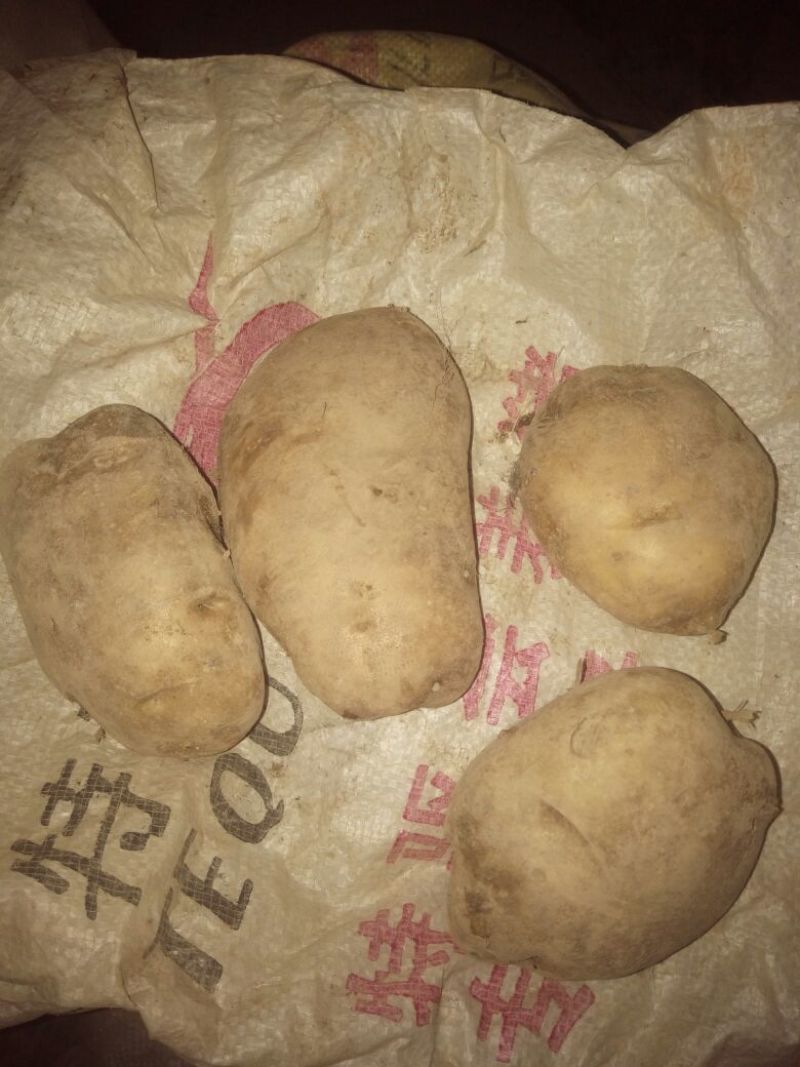 土豆2两以上通货