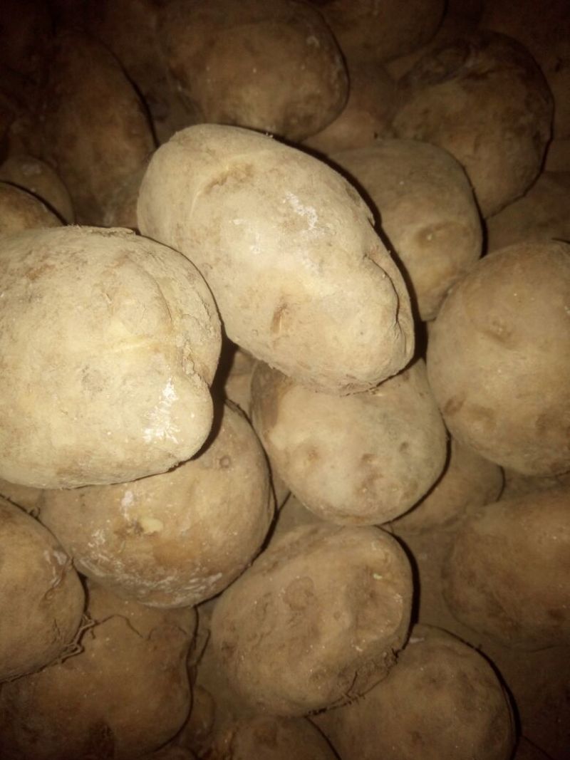 土豆2两以上通货