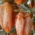 柿饼2~2.5两