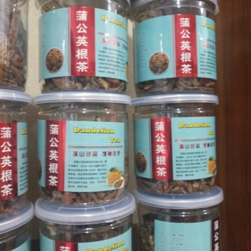 蒲公英根