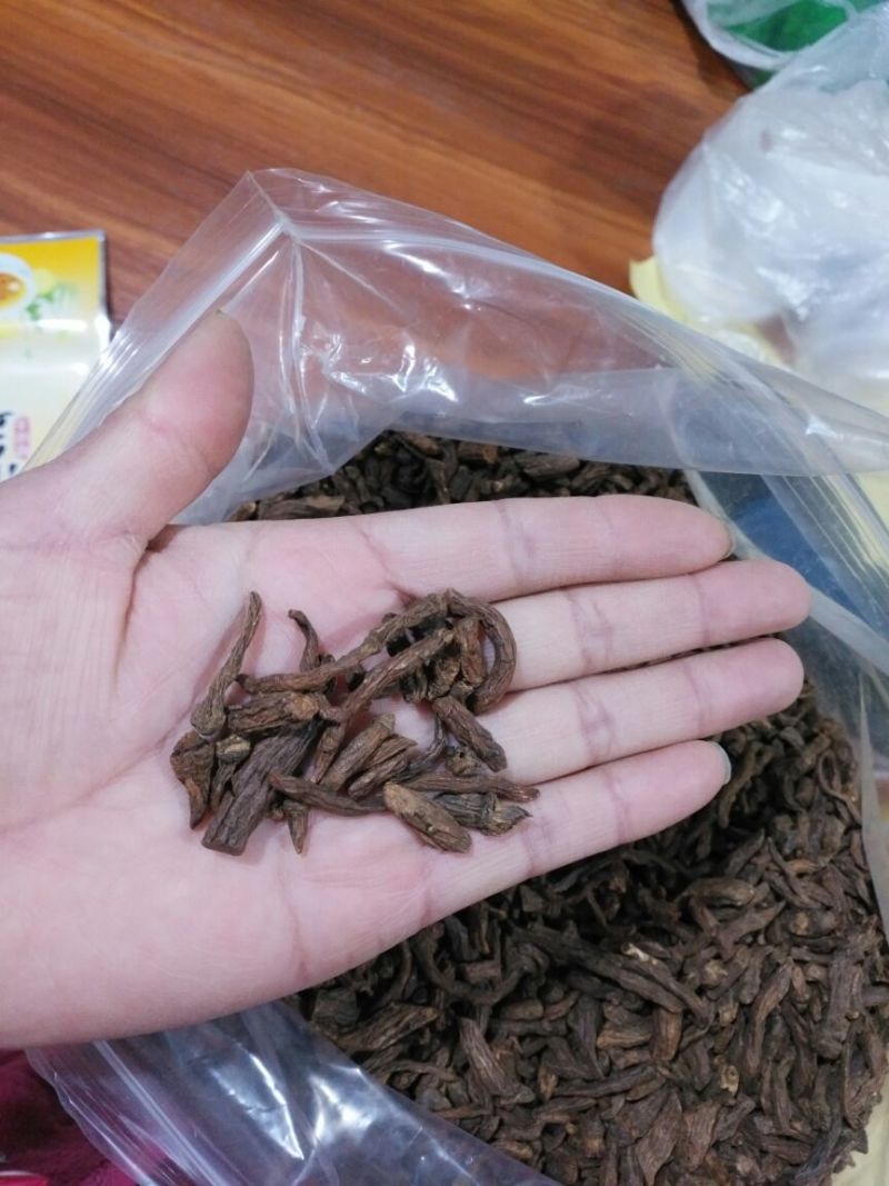 蒲公英根