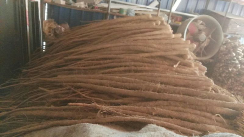 铁棍山药2~3厘米特级通货70~90厘米