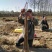 铁棍山药2~3厘米特级通货70~90厘米