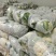 精品白花菜花1斤到2斤紧密乳白，质量优产地直发