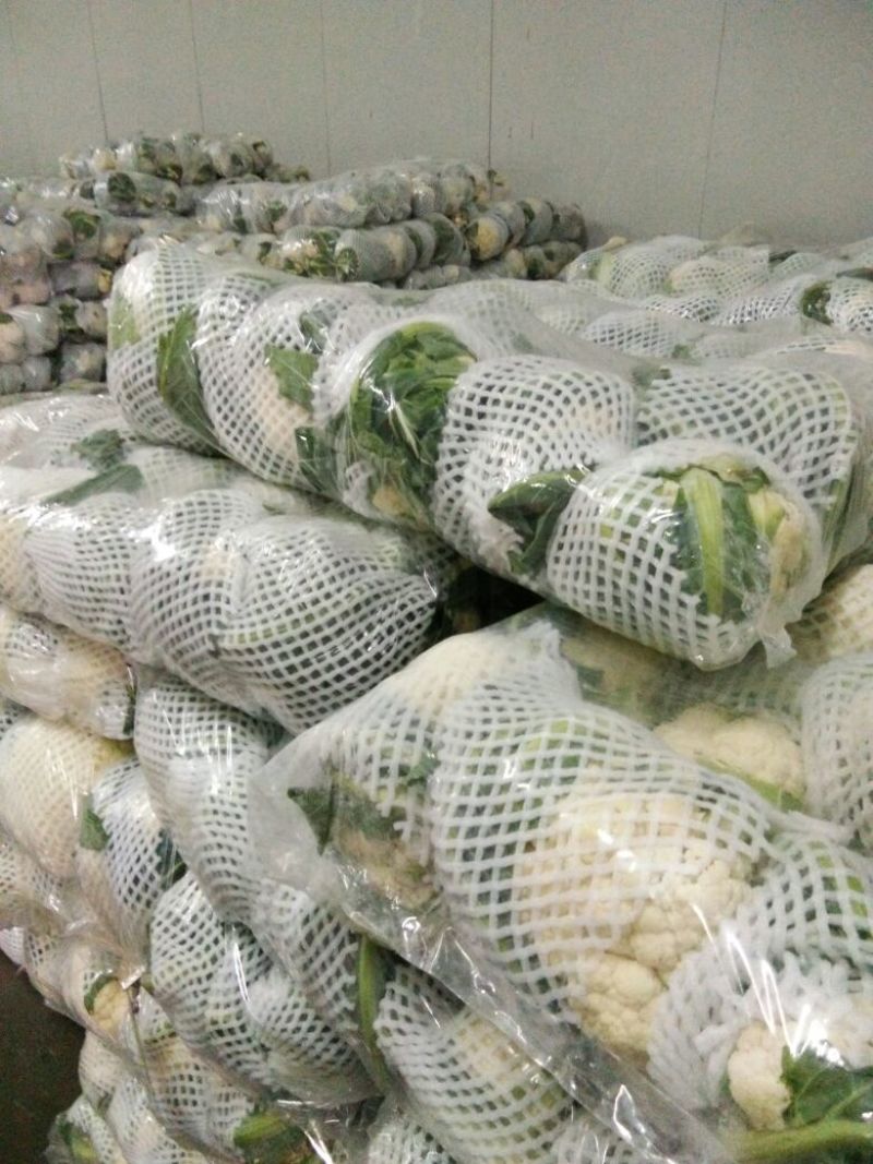 精品白花菜花1斤到2斤紧密乳白，质量优产地直发