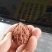 文玩核桃苗虎头狮子头官帽四座楼品种货真价实手玩核桃