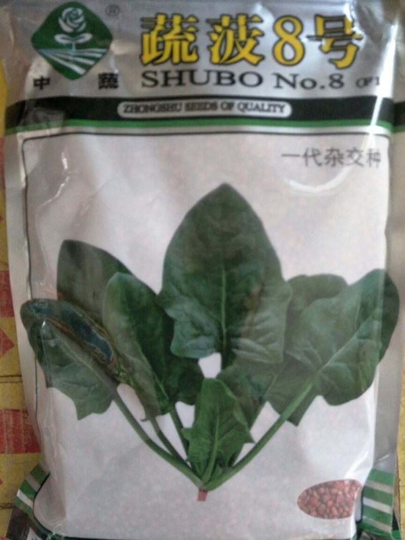 菠菜种子95%
