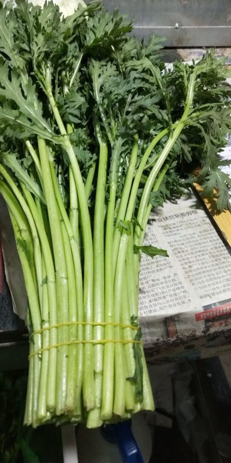 蒿子杆25~30cm