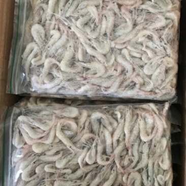 白米虾
