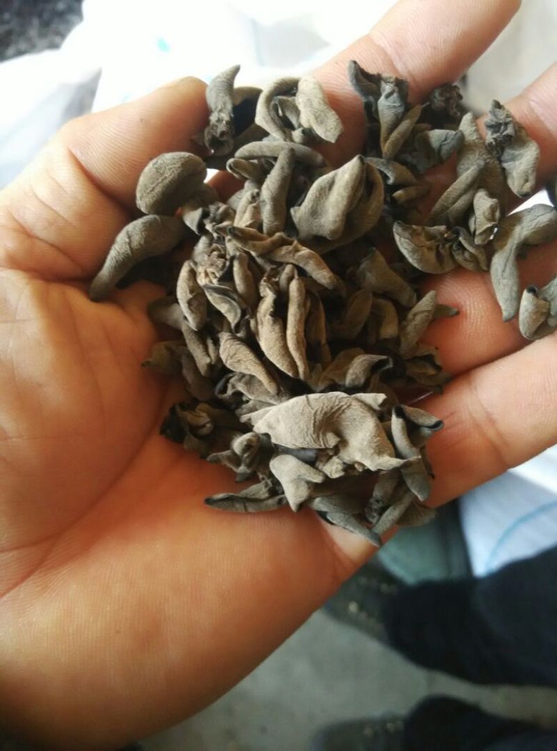 黑龙江黑木耳。春耳单片一级。品质保证。价格实惠。比超市一斤