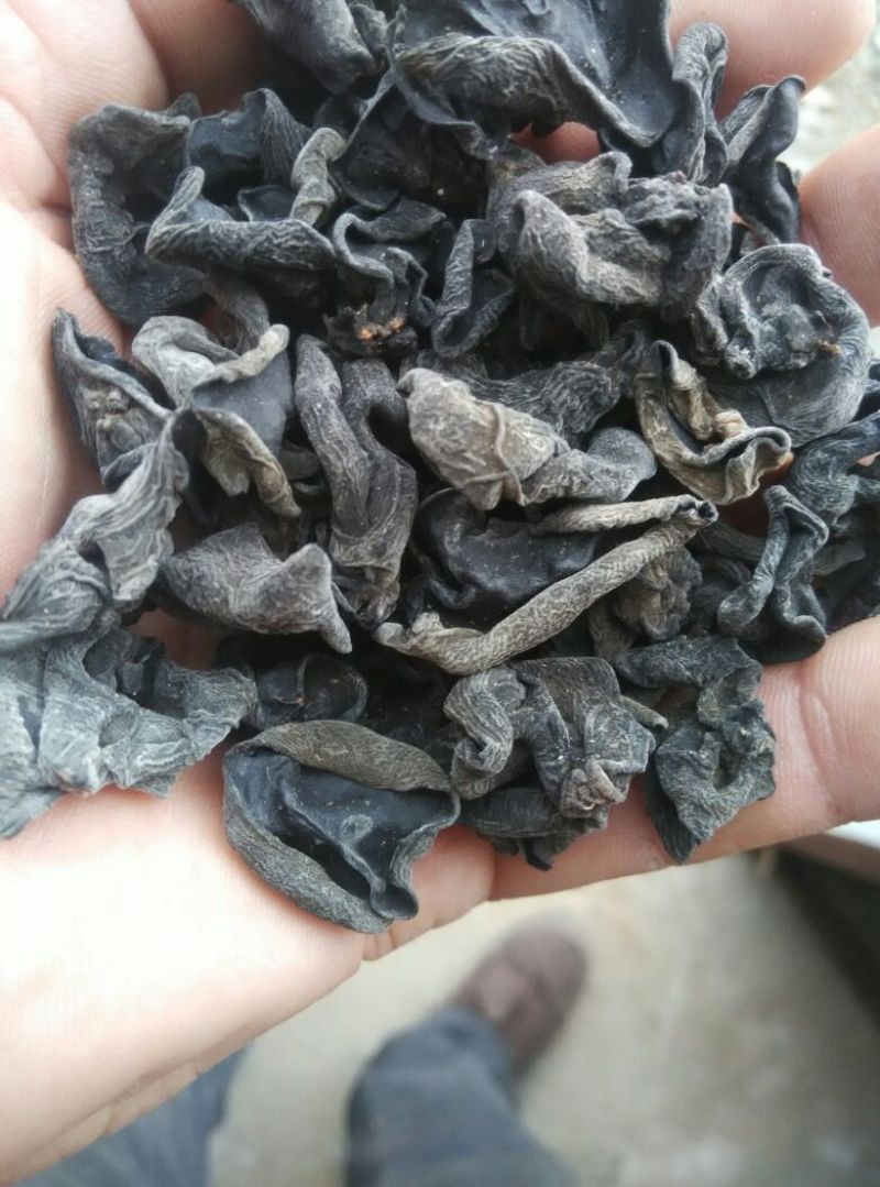 黑龙江黑木耳春耳一级。品质保证价格实惠。保证物有所值。