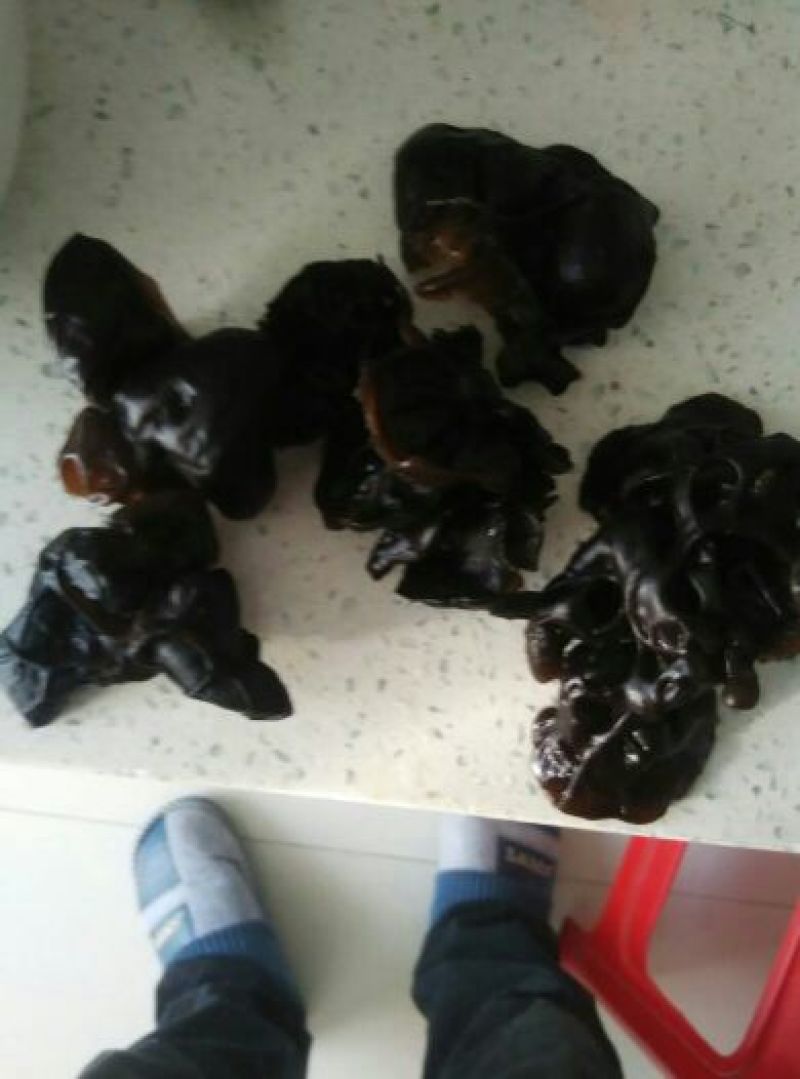 黑龙江黑木耳春耳一级。品质保证价格实惠。保证物有所值。
