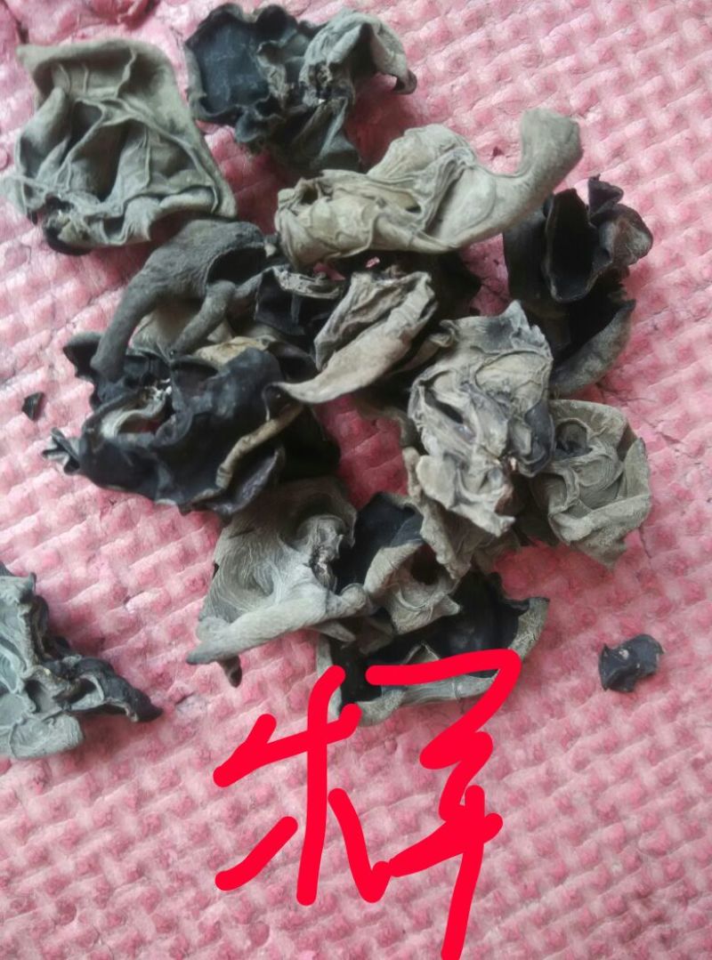 黑龙江黑木耳春耳一级。品质保证价格实惠。保证物有所值。