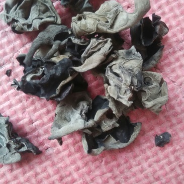 黑龙江黑木耳春耳一级。品质保证价格实惠。保证物有所值。