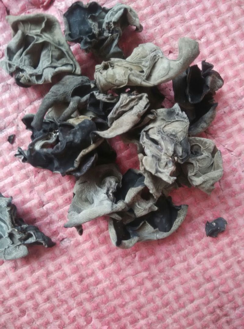 黑龙江黑木耳春耳一级。品质保证价格实惠。保证物有所值。