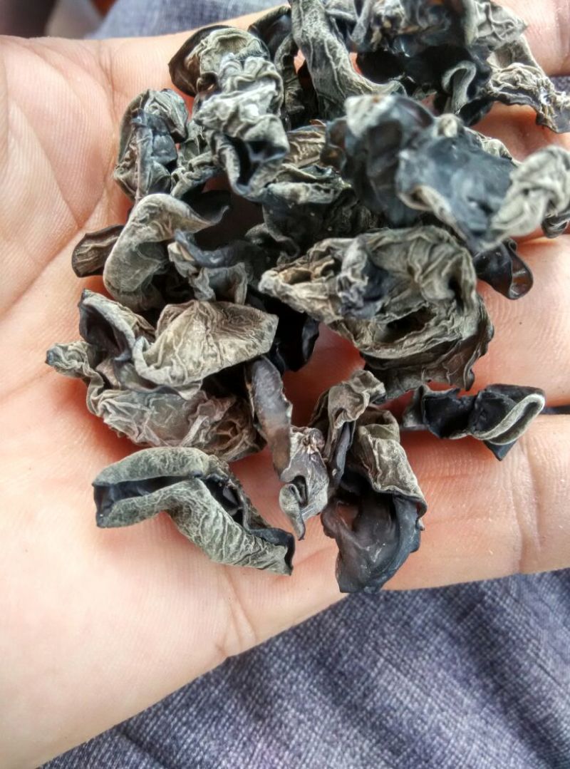 黑龙江黑木耳春耳一级。品质保证价格实惠。保证物有所值。