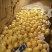 酥梨150~200g筐装，电商，快递，欢迎各大客商