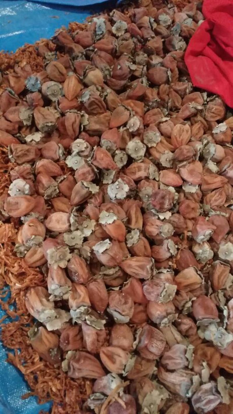 柿饼1~2两