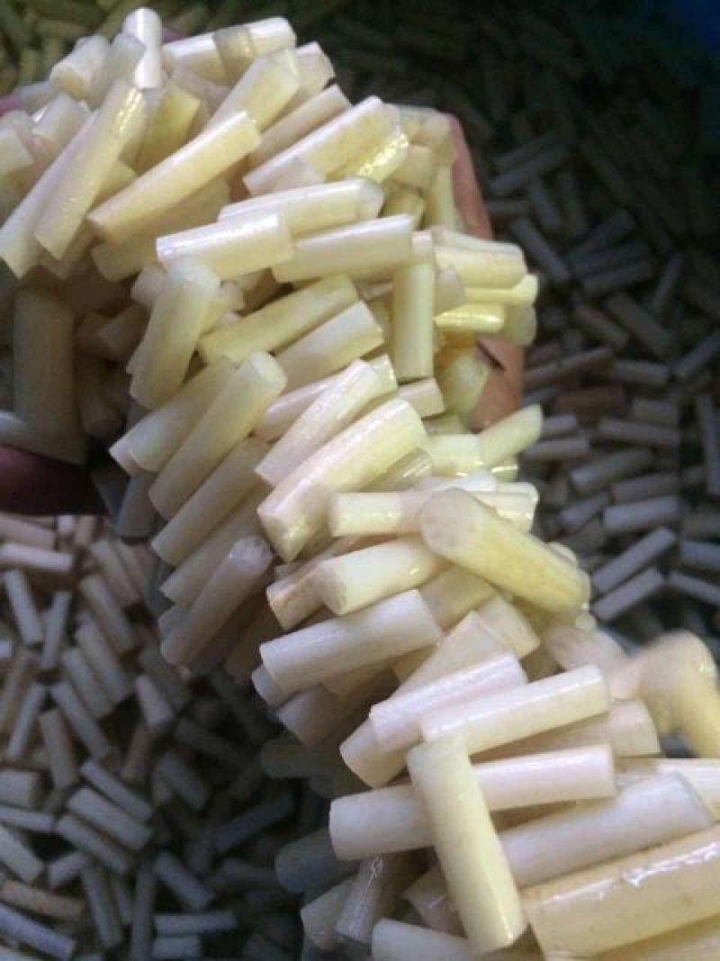 四季供应越南优质藕带