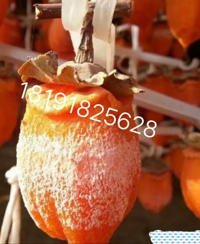 柿饼1~2两