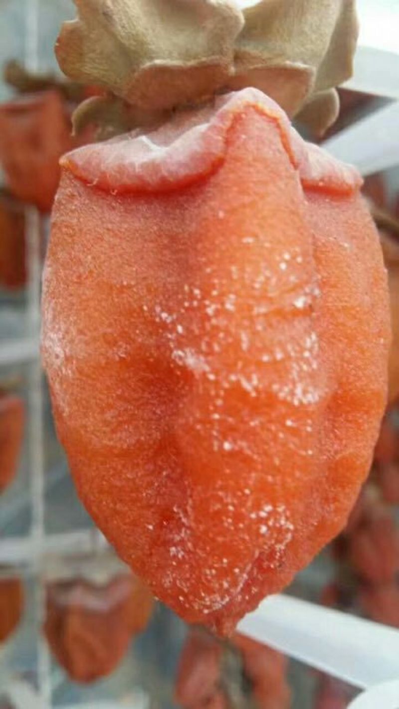 柿饼1~2两