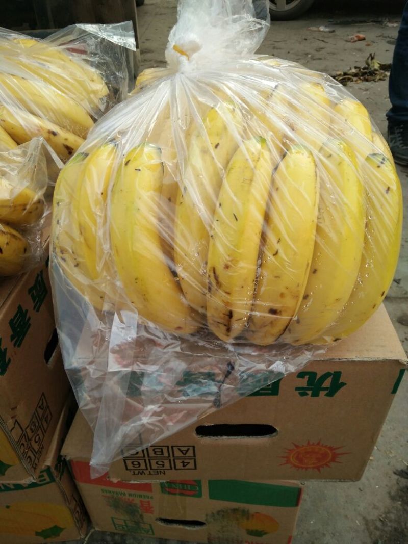 香蕉大量现货，青二黄大黄四季有货，
