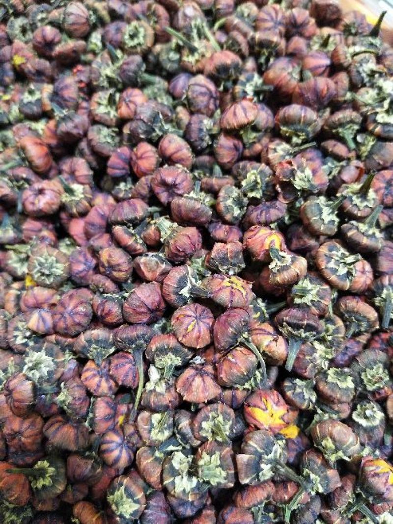 胎菊王罐装