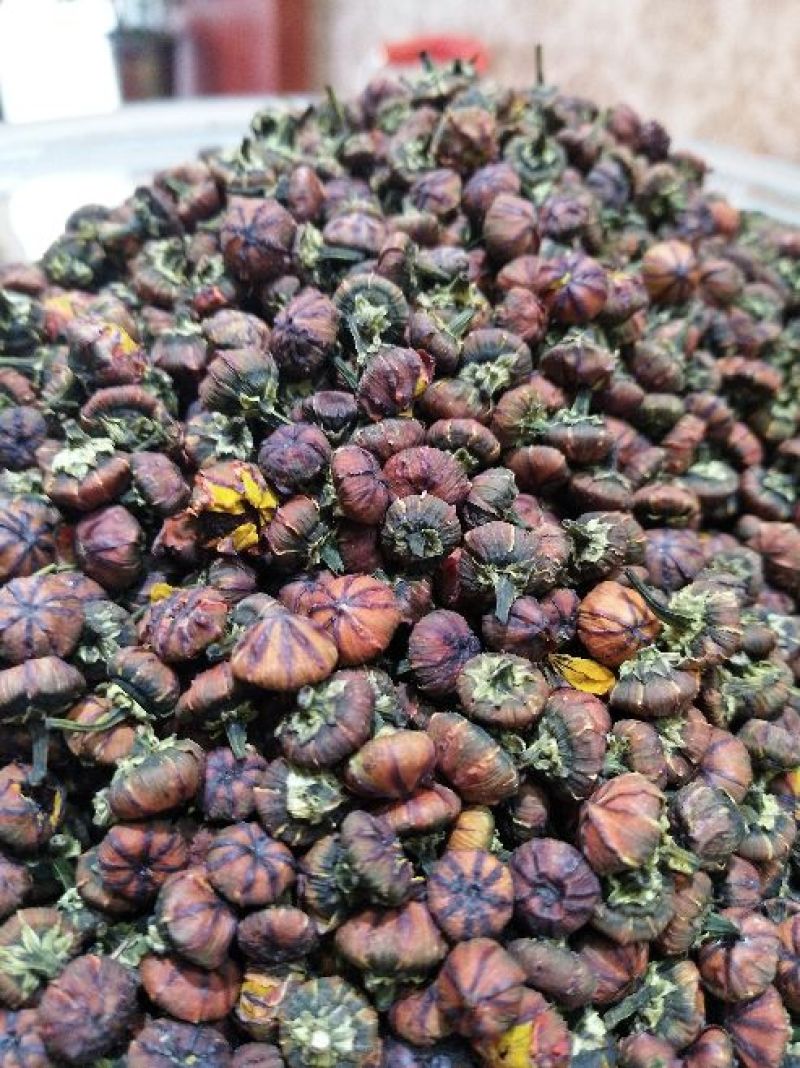 胎菊王罐装