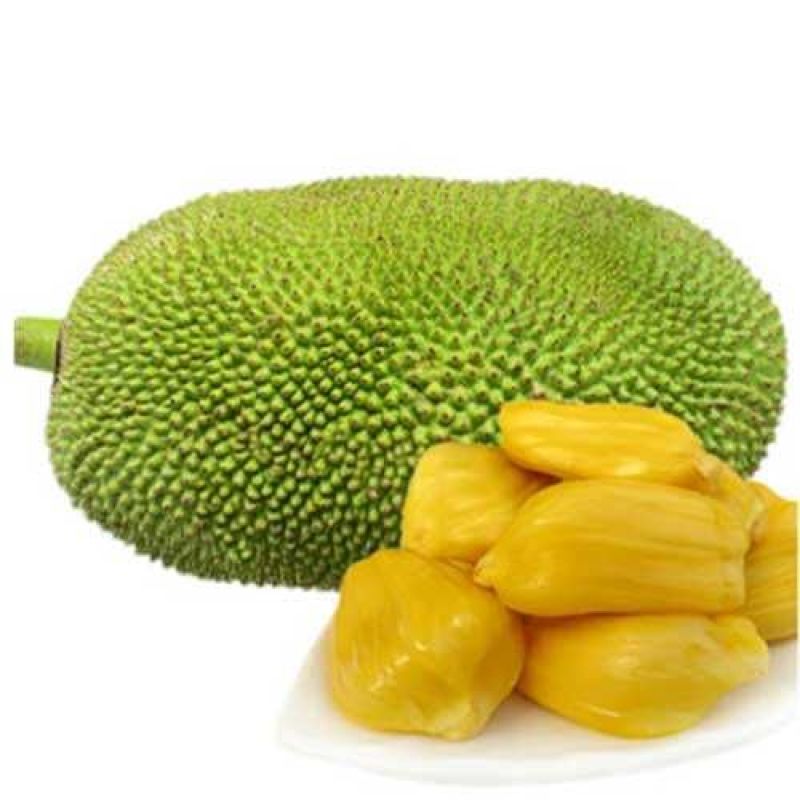 菠萝蜜10~15公斤