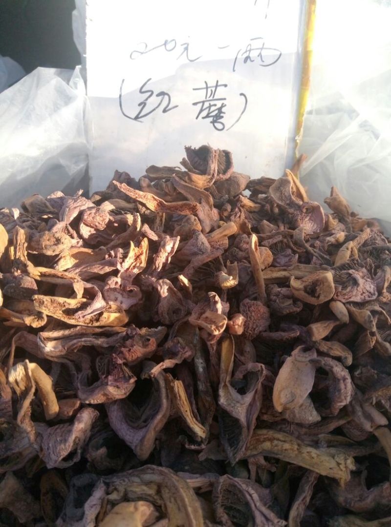 松蘑一级