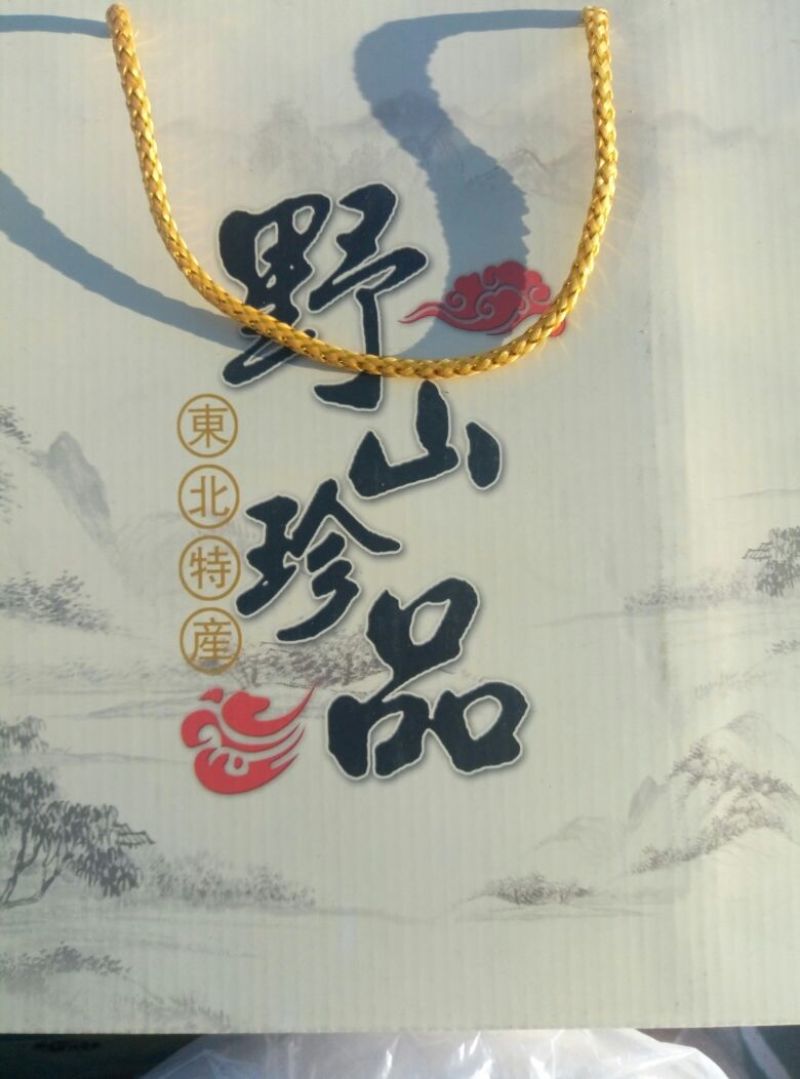 松蘑一级