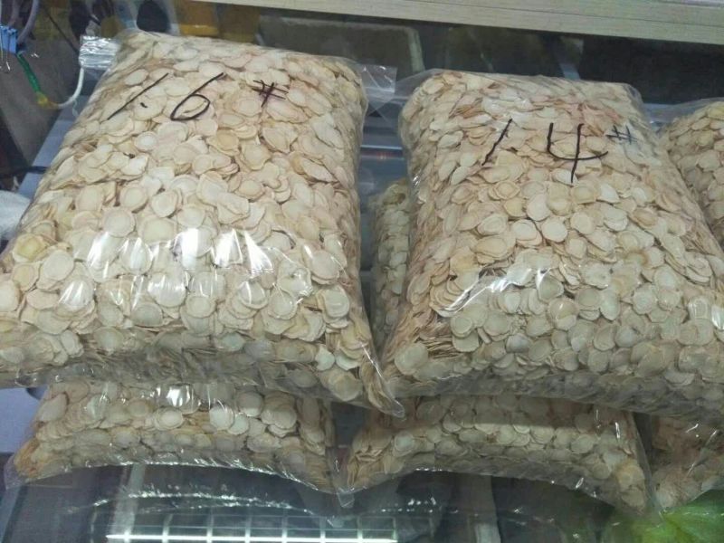 西洋参选货