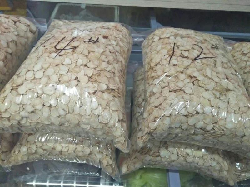 西洋参选货