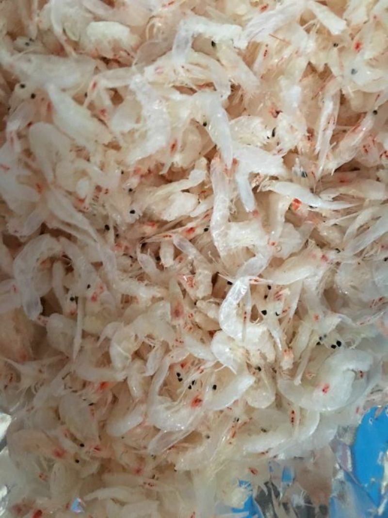 虾皮特级