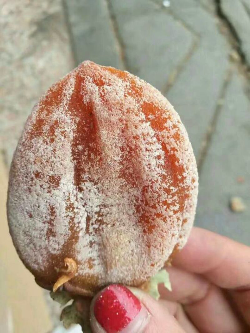 柿饼1两以下