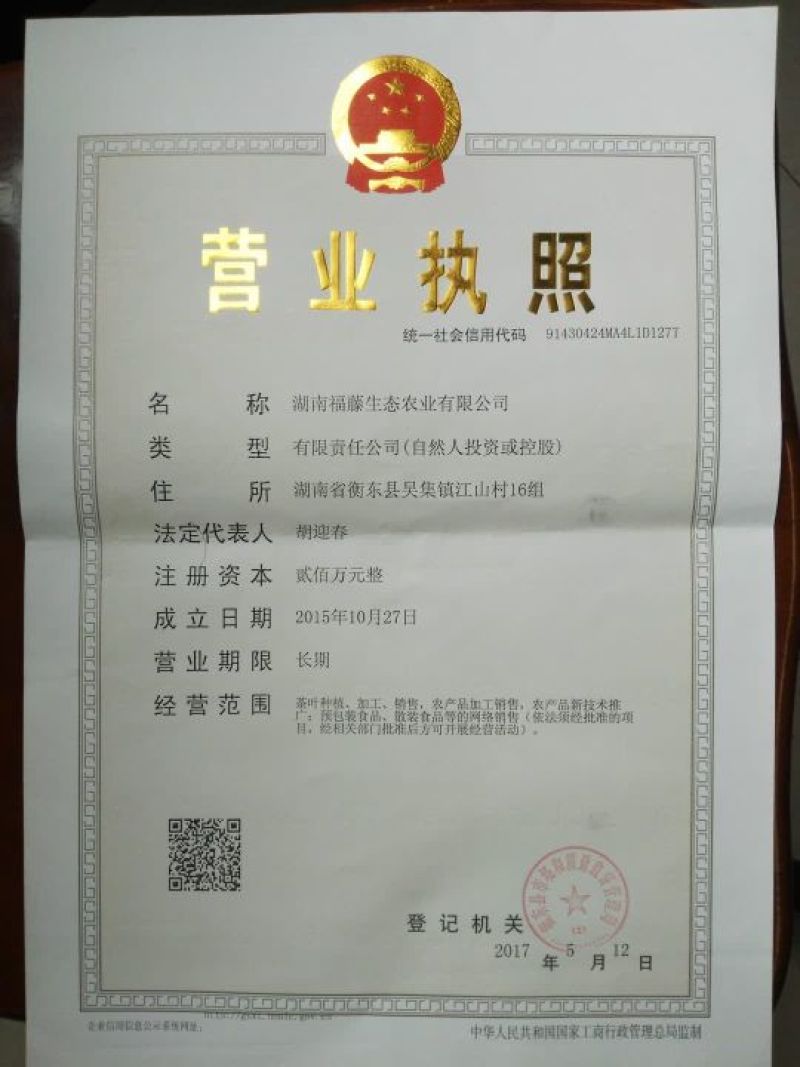 野生藤茶特级明前嫩芽礼盒装300g一盒
