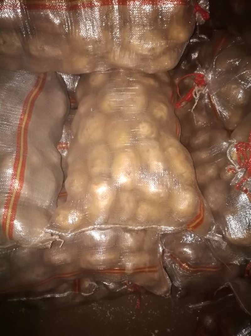 荷兰十五土豆2两以上通货