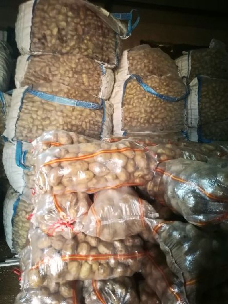 荷兰十五土豆2两以上通货