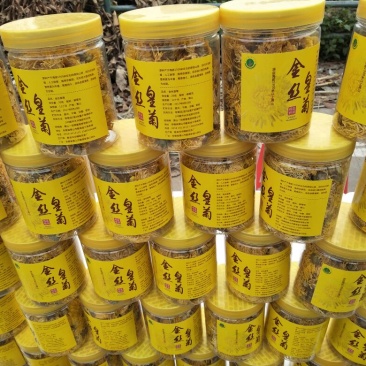 药用菊花罐装