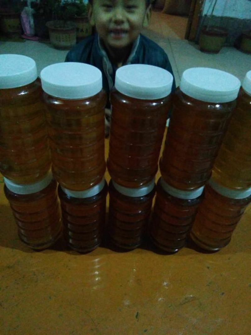荆条蜜枣花蜜基地直发保质保量全国发货售后无忧