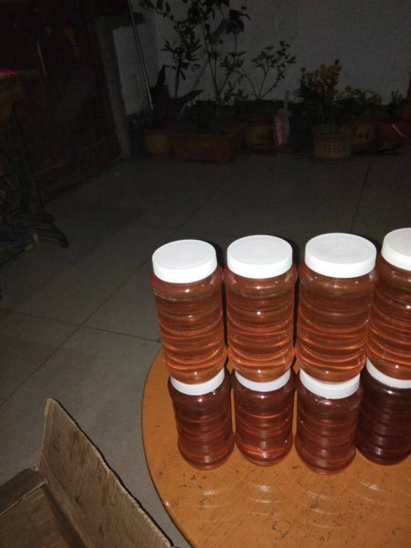 荆条蜜枣花蜜基地直发保质保量全国发货售后无忧