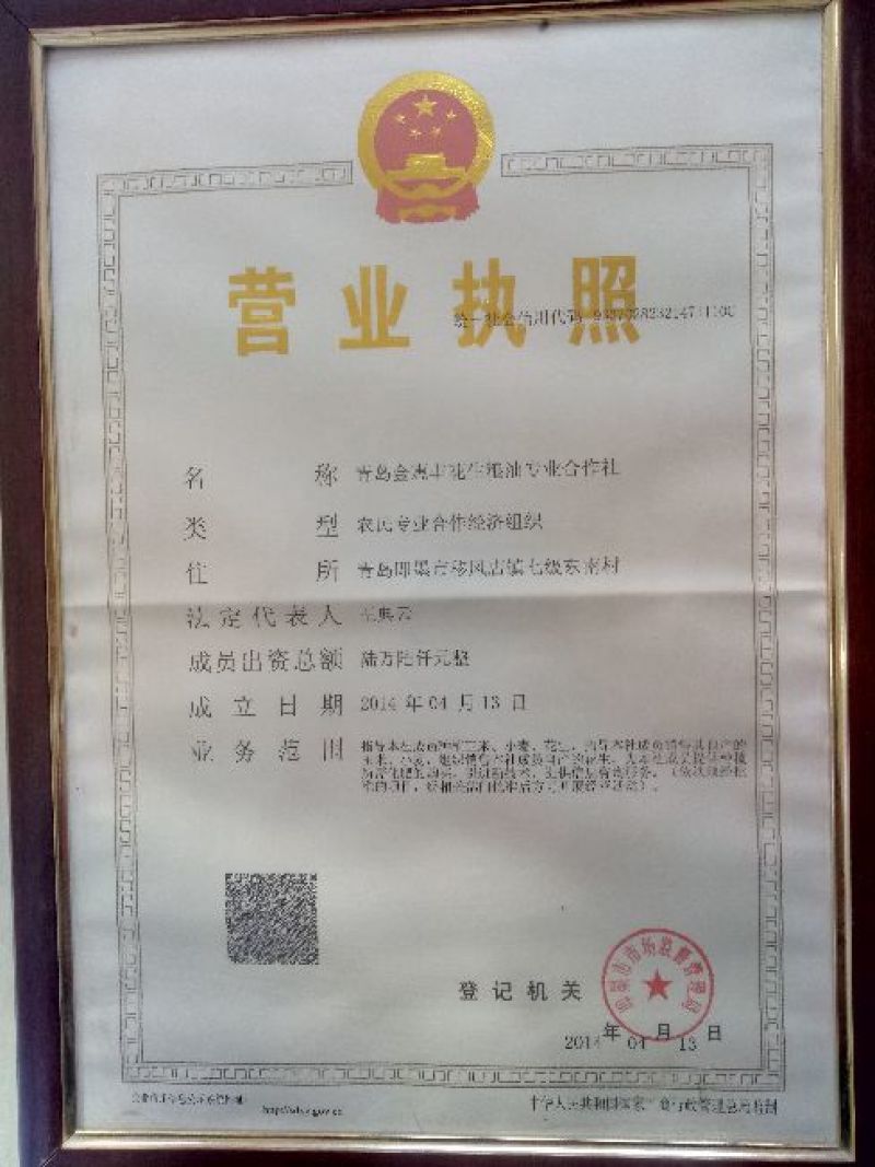 花生油10升装机器压榨，纯正花生油，特别香！