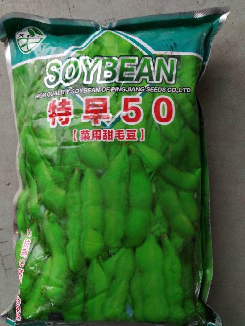 毛豆种子